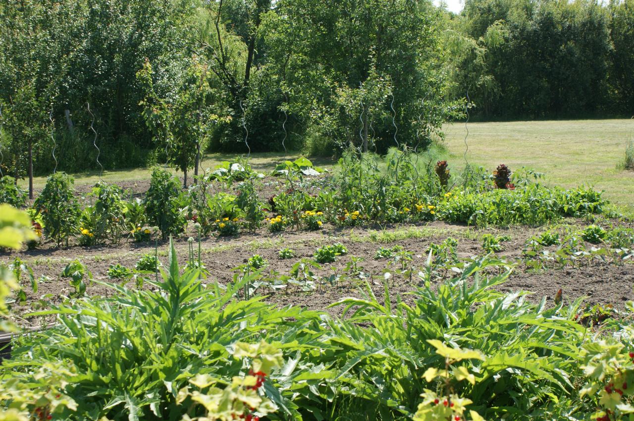 Potager